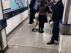 -首都医科大学宣武医院