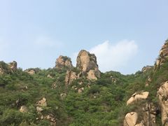 -大岭沟猕猴桃谷风景区