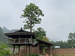 -明仕田园