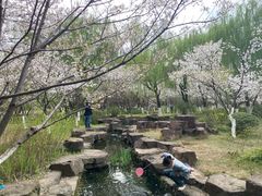 -范蠡湖公园