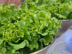 -杨记齐齐哈尔烤肉(总店)