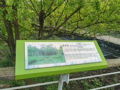 -西湖风景区-江洋畈生态公园