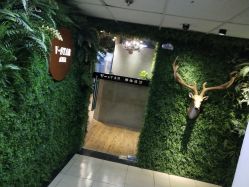 -V-STAR威斯达•高级私人定制