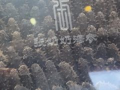 -柏尼娅PEARIA·蛋糕定制(静安店)