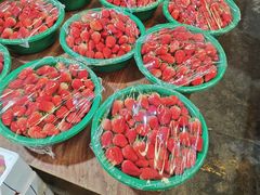 -上海龙吴水胜海发市场