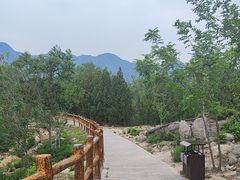 -白水寺森林公园