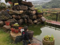 -看见远方·莫干遥远的山民宿