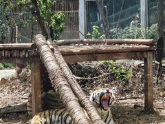 -昆明动物园