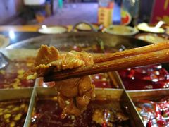 -肥龙火锅(南坪店)