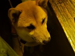 -城墙外BAR