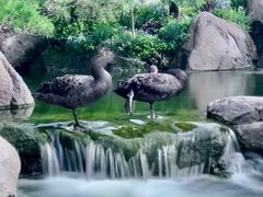 -罗红摄影艺术馆