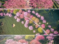 -云洞岩风景区
