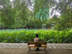 -四川大学(华西校区)