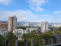 -福道
