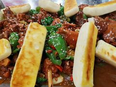 -邵年鸽(杨庄店)