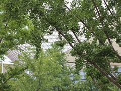 -东浩兰生上海世博展览馆