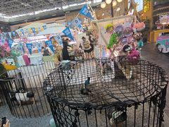 -凯德广场(学府店)