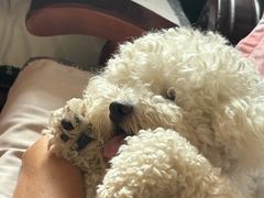 -家舍沐浴生活馆