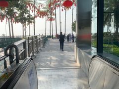 -深圳湾公园(南山区)