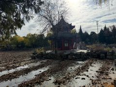 -莲池书院博物馆