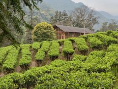 -姑婆山旅游区