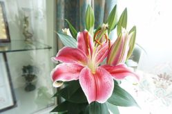 点击看大图 -悦芳庭美肤美体品牌集合店