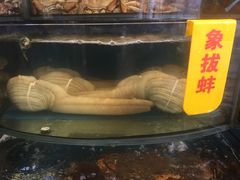 -渔中舟海鲜大排档(普陀沈家门店)