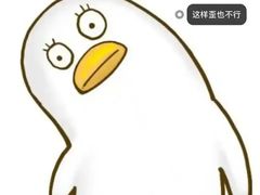 -金陵中学(河西分校)