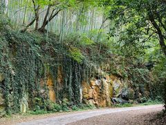 -上海佘山国家森林公园西佘山园