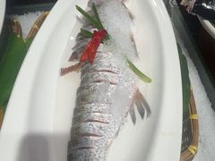 -紫腾大院·南京菜(江宁店)