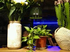 -春暖花开(西溪店)