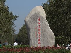 -合肥滨湖国家森林公园