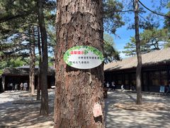 -承德避暑山庄景区