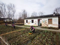 -溱湖国家湿地公园