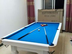 -丁俊晖台球俱乐部(海上海·弘基休闲广场店)