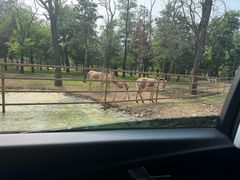-秦皇岛野生动物园