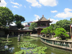 -碧江金楼