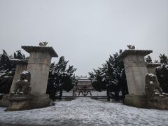 -洛阳古墓博物馆