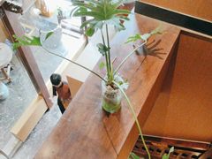 -唐猫庭院·千年陕菜(大唐不夜城店)