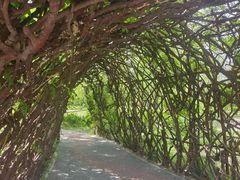 -莲花池公园