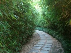 -苏州河梦清园环保主题公园