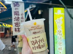 柠檬奶-猫的魔法密林(衣裳街店)