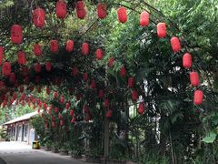 景点-观澜山水田园