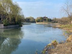 -绍兴镜湖国家城市湿地公园