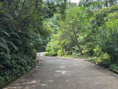 -广州市帽峰山景区