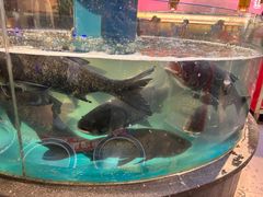 -魏铭鱼头捞饭(晋阳路店)