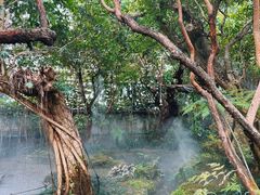 -Chom Cafe and Restaurant