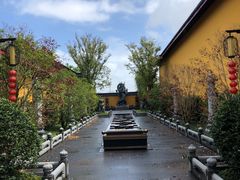 -上海青龙寺