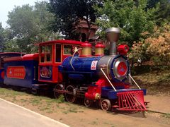 小火车-永定河休闲森林公园