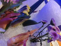 刺身拼盘-味见·雪月花(天富路店)